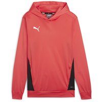 Puma Individual Trg hoodie