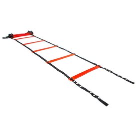 Gymstick Ladder