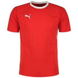 Puma Teamliga short sleeve T-shirt