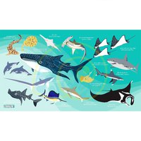oceanarium-toalha-sharks---rays-l
