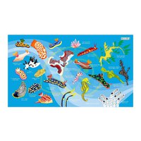 oceanarium-nudibranch-m-towel