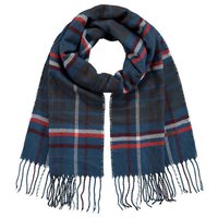 barts-scarf-austil