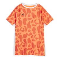 puma-team-liga-padel-graphic-kurzarmeliges-t-shirt
