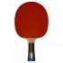Nb Enebe Raquete Ping Pong Select Team 700