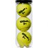 Wilson TP Tennis Balls Box
