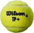 Wilson Boîte Balles Tennis TP