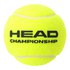 Head Championship Tennisbälle