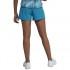 Nike Court Flex Pure Shorts