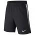 Nike Court Dri Fit Short Pants
