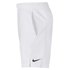 Nike Court Dri Fit Short Pants