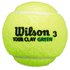 Wilson Tour Clay Tennis Balls