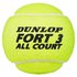 Dunlop Fort TS All Court Tennisbälle
