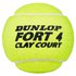Dunlop Fort Clay Tennis Balls
