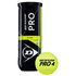 Dunlop Pro Tour Tennis Ballen