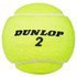 Dunlop Club All Court Tennis Balls