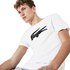 Lacoste Sport Oversized Crocodile Technical Korte Mouwen T-Shirt