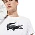 Lacoste T-Shirt Manche Courte Sport Oversized Crocodile Technical