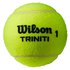 Wilson Triniti Tennisbälle