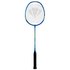 Carlton Raqueta Badminton Solar 300