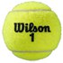 Wilson Pelotas Tenis Roland Garros All Court Bipack