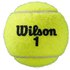 Wilson Balles Tennis Roland Garros Clay
