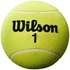 Wilson Balle Géante De Tennis Roland Garros 1 5´´