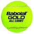 Babolat Palline Tennis Gold All Court