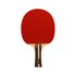 Softee P 700 Table Tennis Racket