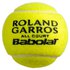 Babolat Roland Garros French Open Todas Las Superfícies